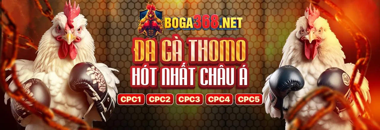Đá gà trực tuyến kịch tính tại 98win9 bet